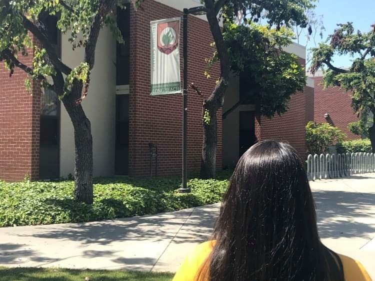 student looking at dorm