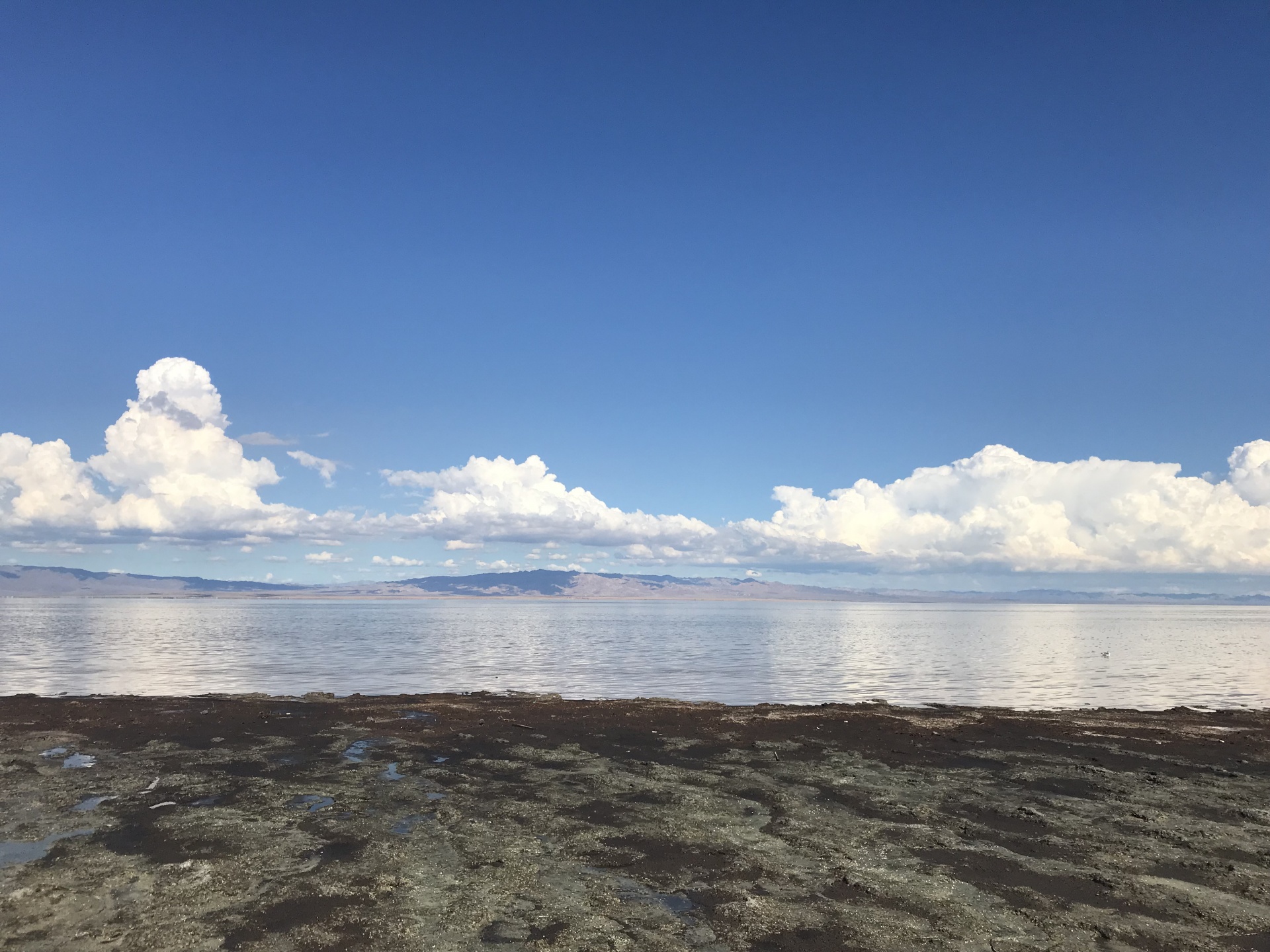 salton sea