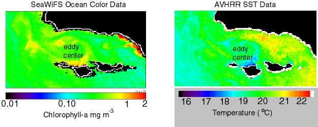 SeaWiFS ocean color data paired with AVHRR SST data for the 