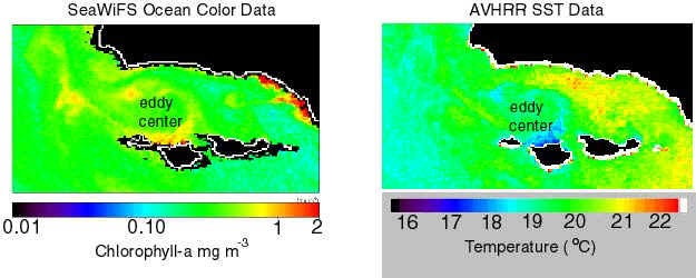 sbc_seawifs_color_sst.jpg SeaWiFS ocean color data paired with AVHRR SST data for the