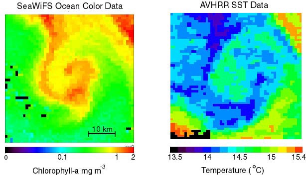 SeaWiFS ocean color data paired with AVHRR SST data for smal