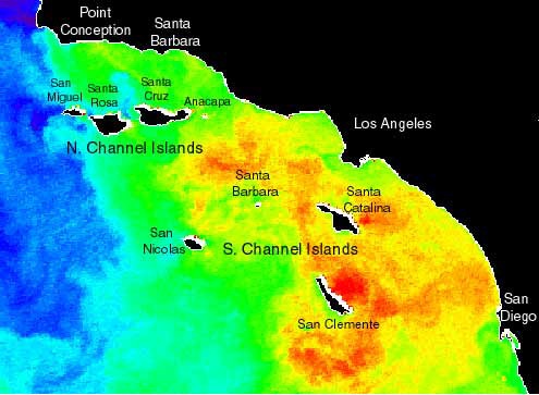 sea surface temperature map of Southern California Bight