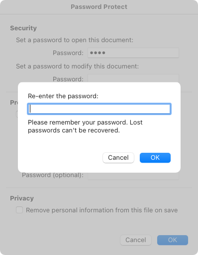 Password Protect window with Re-enter the password field