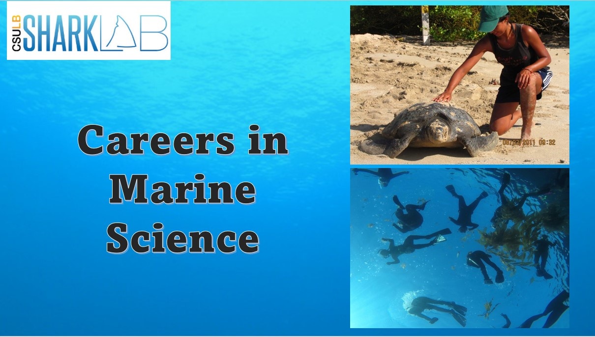 Careers in Marine Science