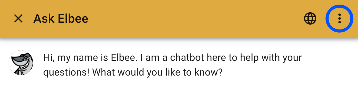 screenshot_chatbot_more.png The more icon in the chatbot header