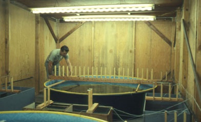 experimental room