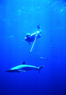 Don Nelson diving