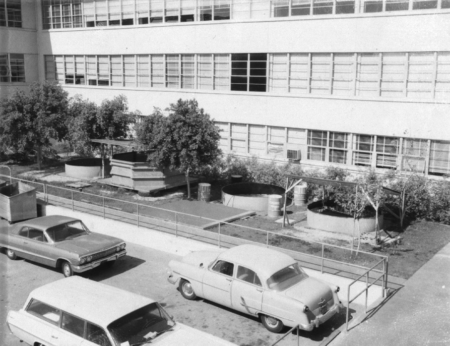 Shark Lab in 1970