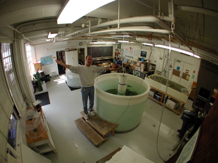 renovated CSULB Shark Lab