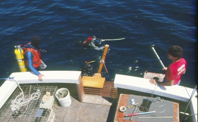 Bob Johnson, Andy Stull and Don Nelson