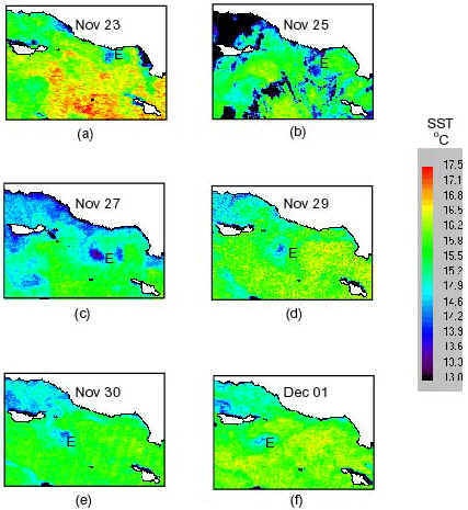 Sequence of SST of eddy