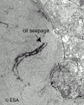 oil seepage in Santa Monica Bay