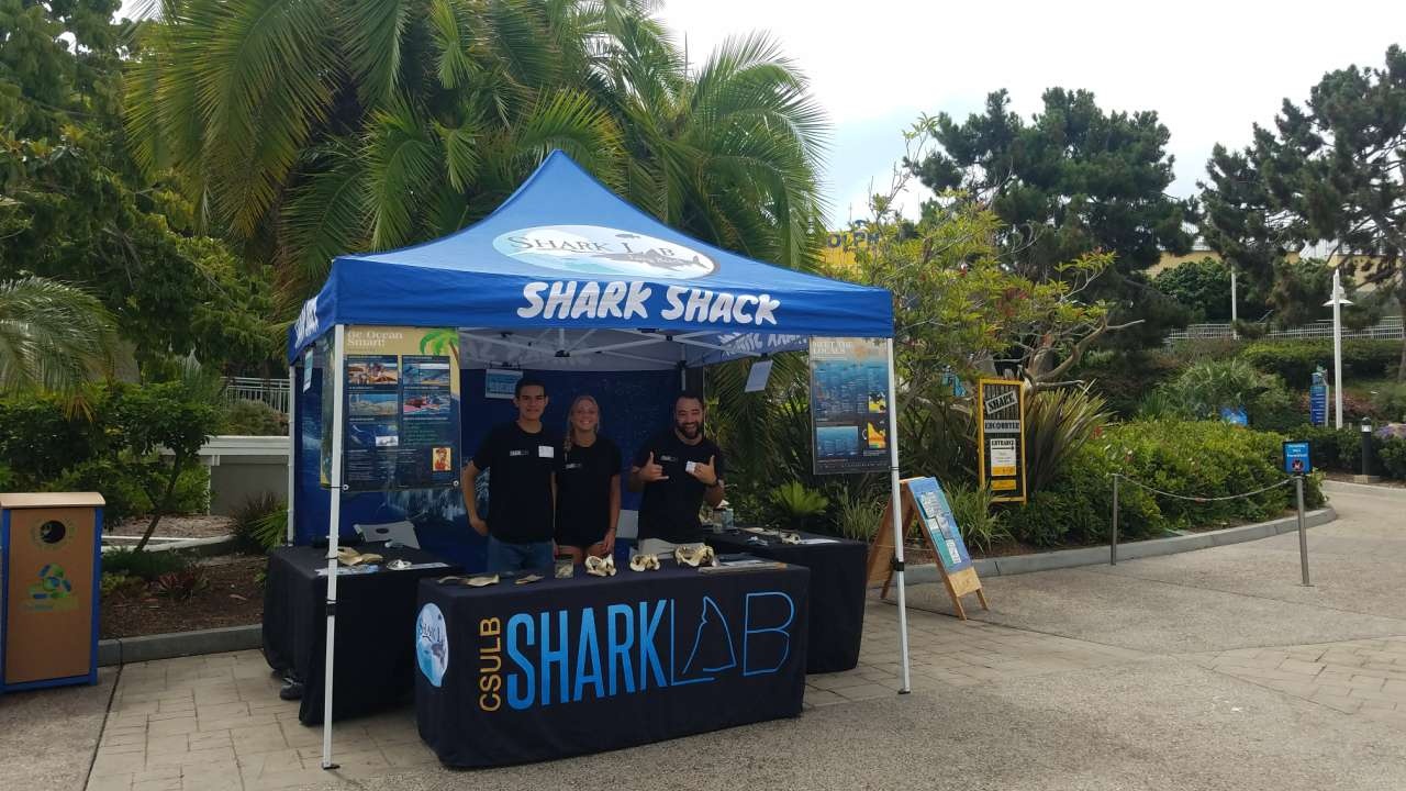 Shark Shack and staff