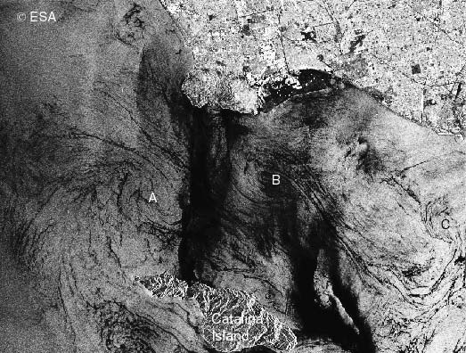 spc_eddy_convergence_0.jpg two eddies converging in San Pedro Channel