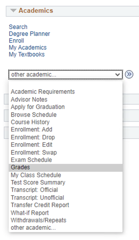 Screenshot of the Student Center other academic drop down wi