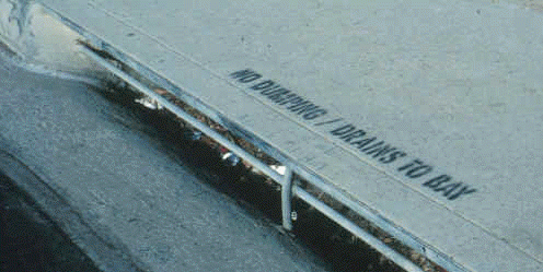 storm_drain_no_dumping.gif no dumping / drains to bay