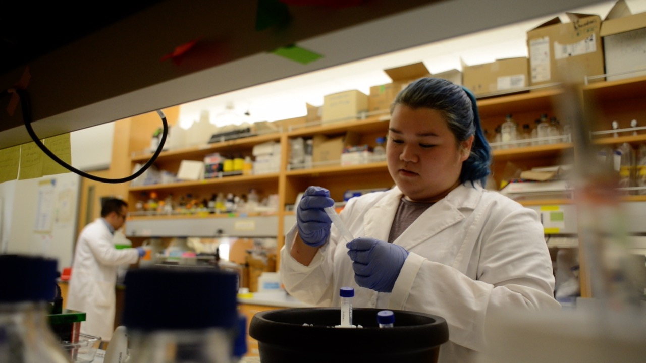 Student works in science lab.