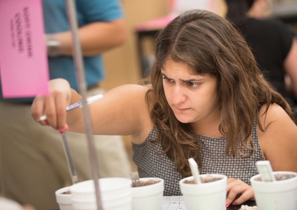 CSULB student doing experimental project in class