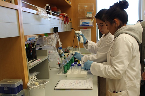 students working in research lab