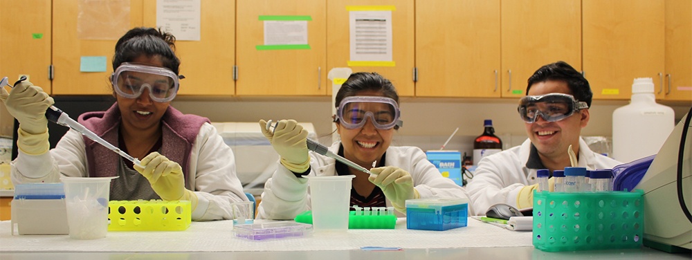 students pipetting