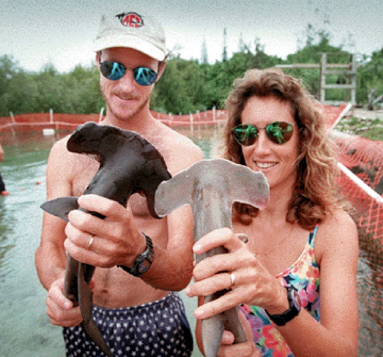 suntanningsharks01.jpg Fig. 1. Dr. Lowe holding a dark colored juvenile hammerhead