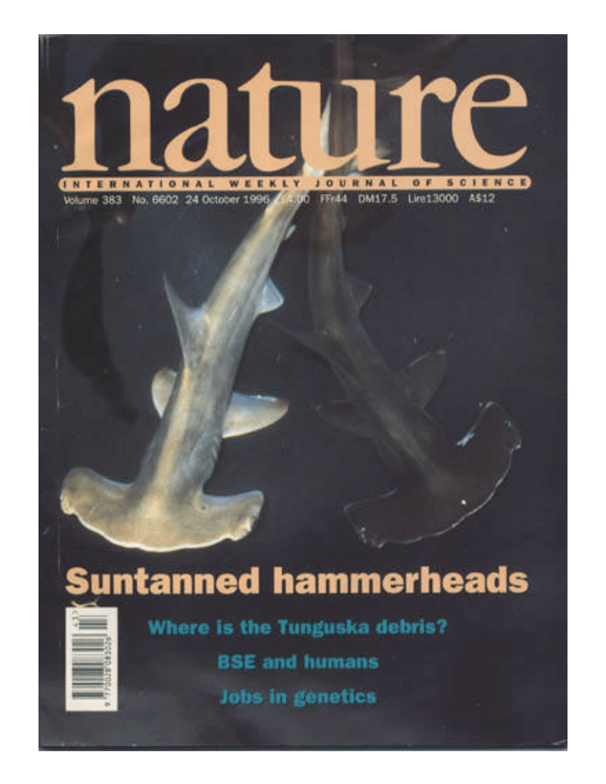 suntanningsharks04.png Fig. 4. Nature 1996 cover featuring juvenile hammerhead shar