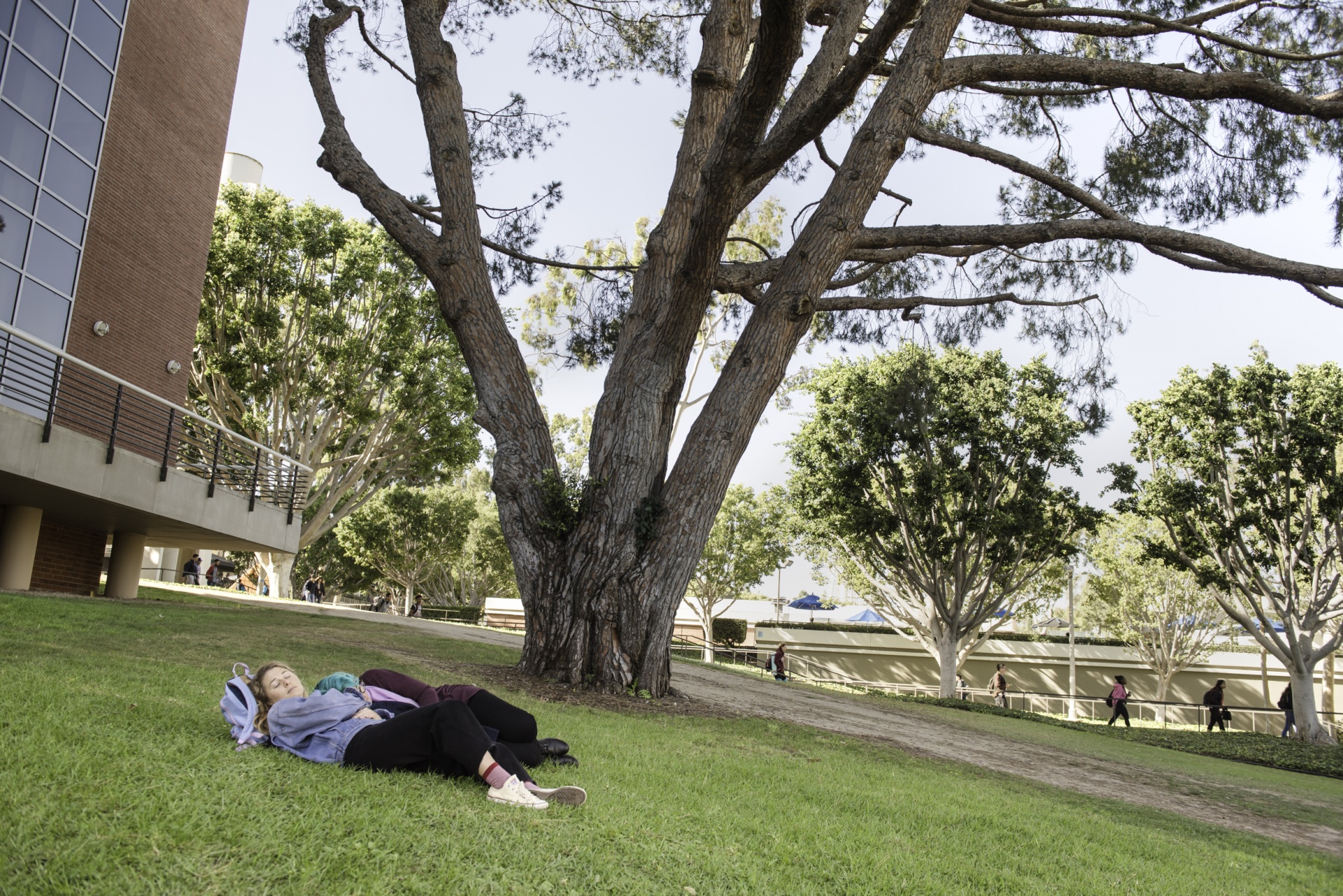 students nap on hill