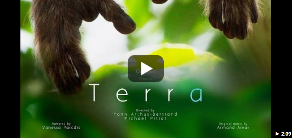 terra.png Video Placeholder