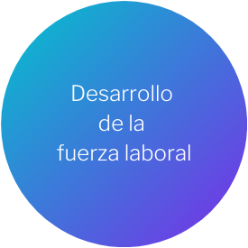 Desarollo de la Fuerza laboral 