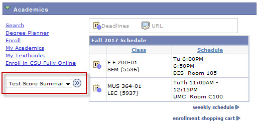 test_score_summary1.jpg picture of academics with test score summary highlighted in