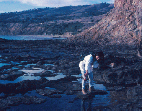 woman walking among tide pools