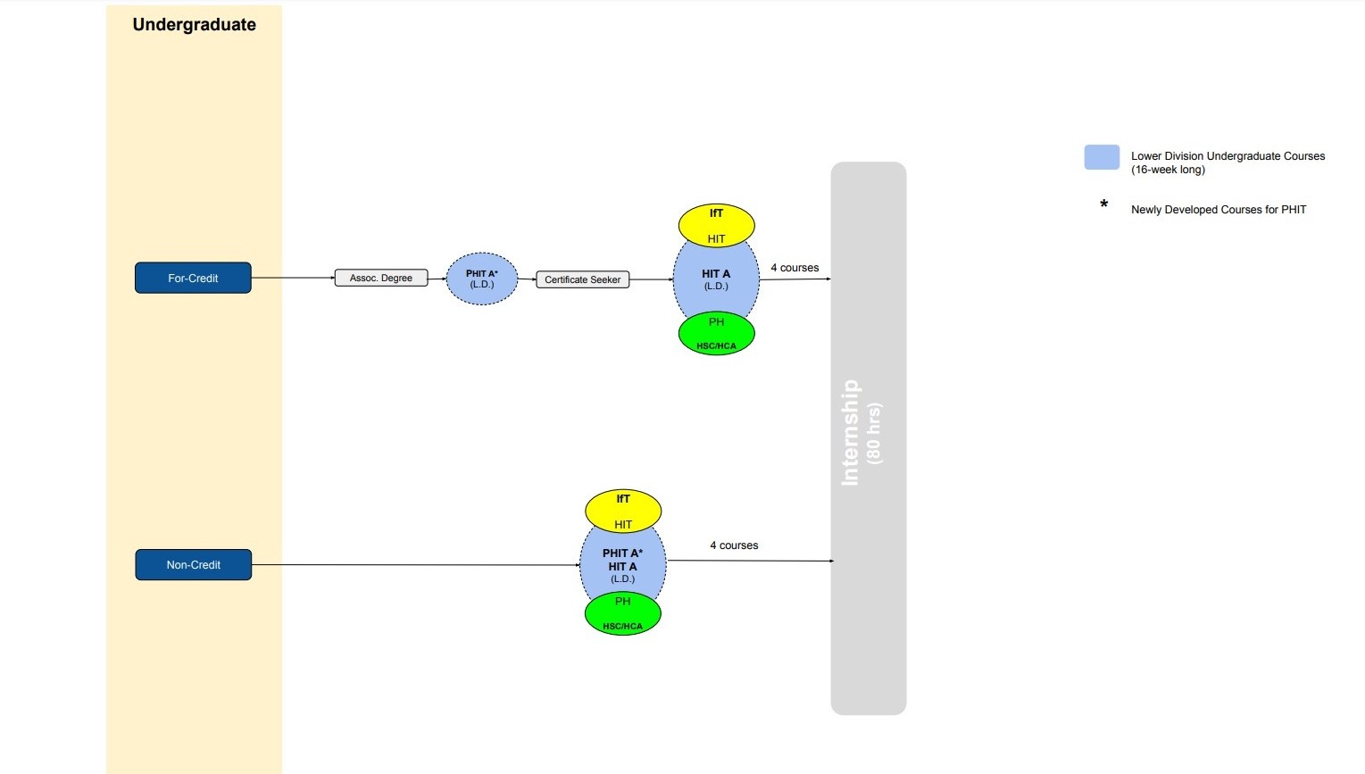 Undergraduate Certificate in PHIT Diagram number 3