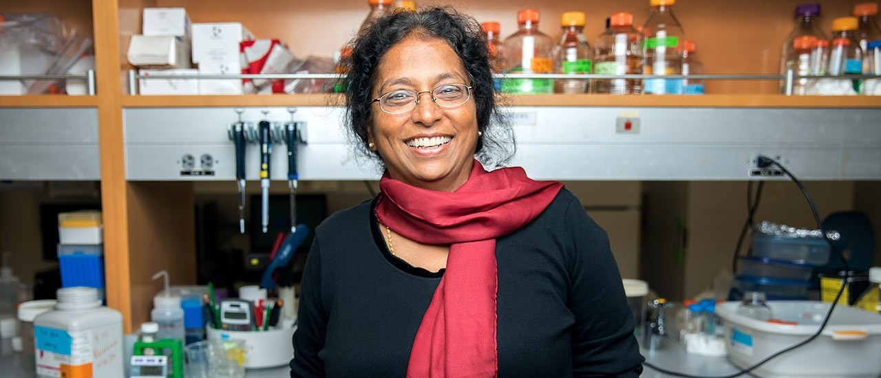 vasanthy-narayanaswami_w.jpg 4