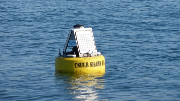 Vemco Live real-time cellular acoustic receiver buoy