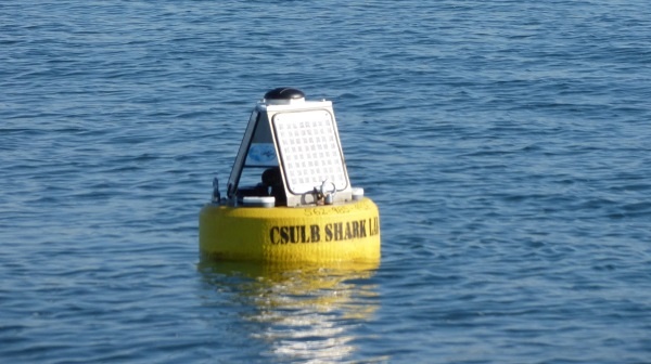 Image: vemco-live-buoy.jpg