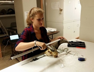 Victoria Luce measures horns in a museum