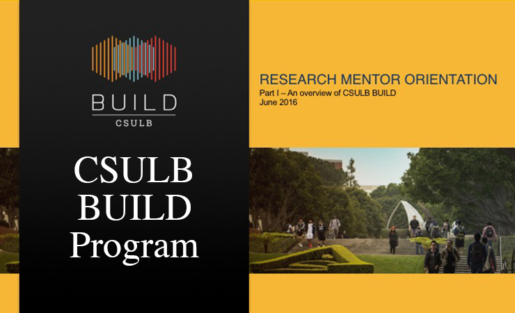 CSULB BUILD Program