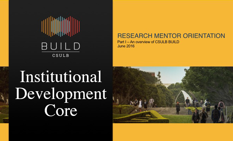 Institutional Development Core