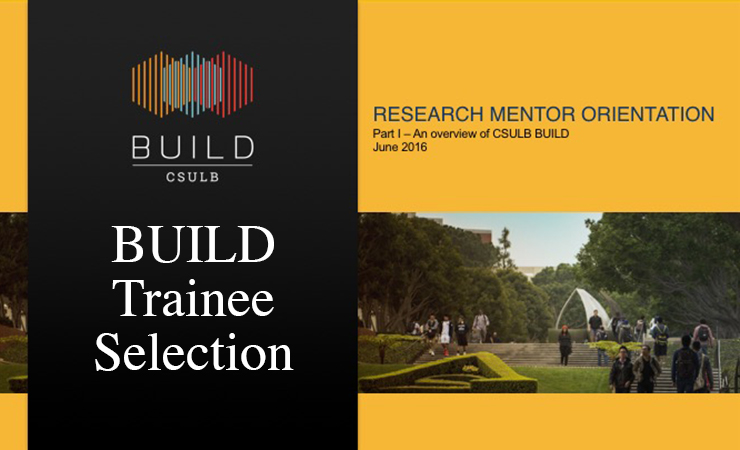 BUILD Trainee Selection