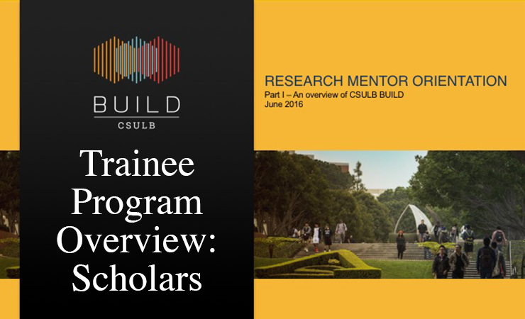 Trainee Program Overview - Scholars