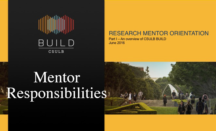 Mentor Responsibilities