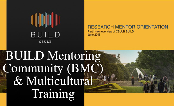 BUILD Mentoring Community and Multicultural Training