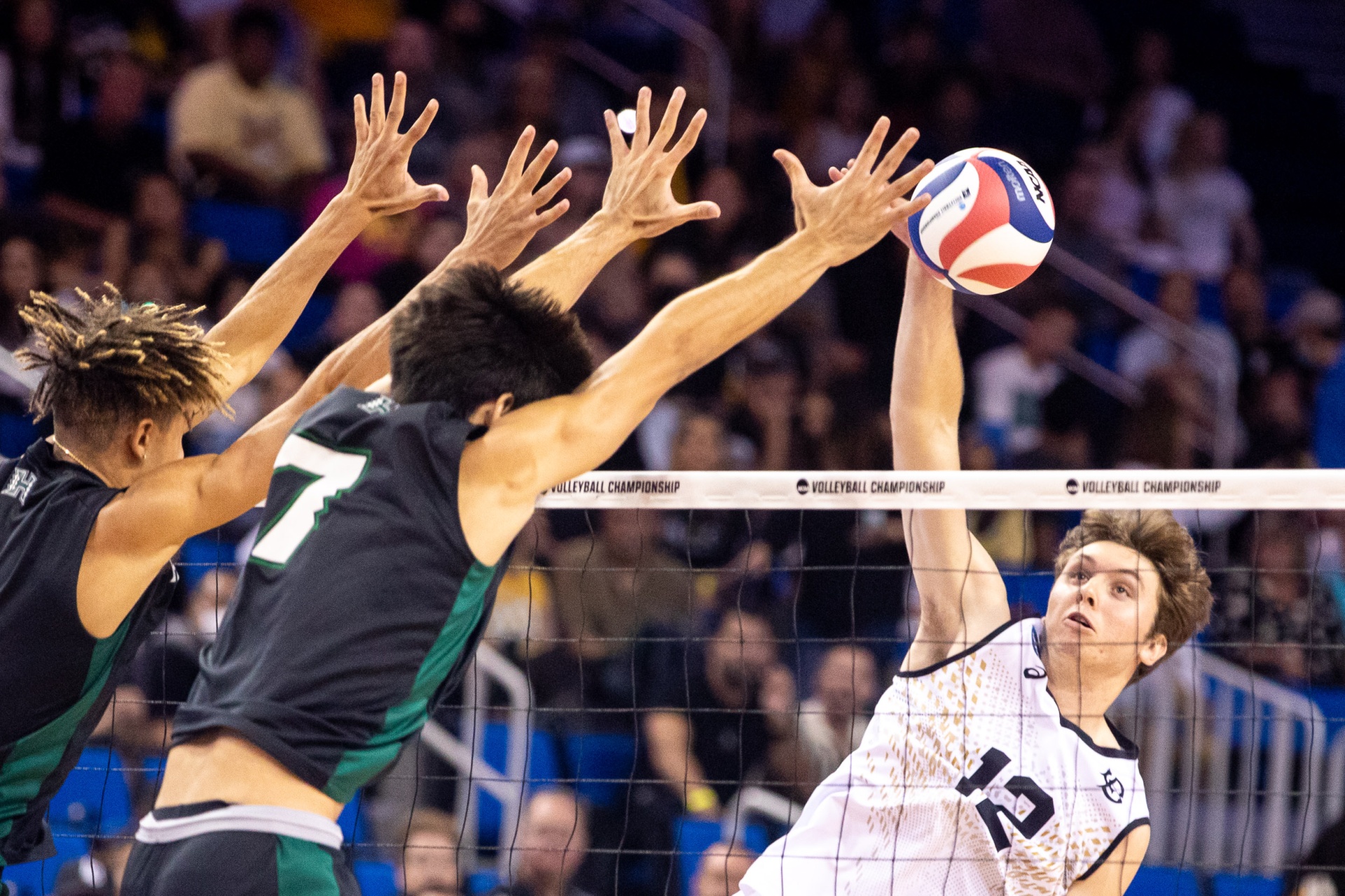 Long Beach state volleyball players