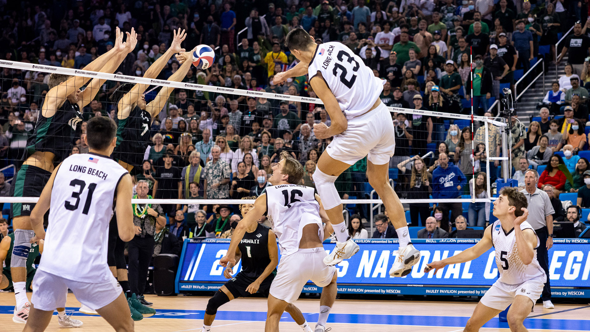 Freshman Alex Nikolov spikes ball against Hawaii in volleyball match