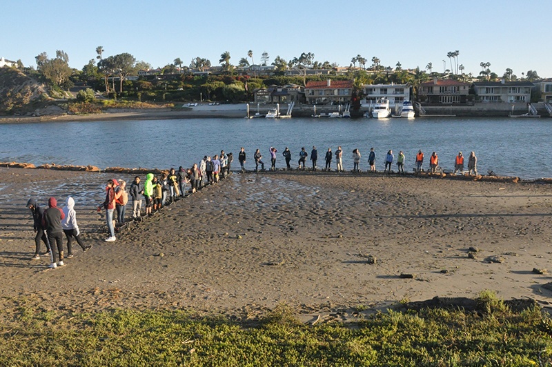 volunteers making oyster beds