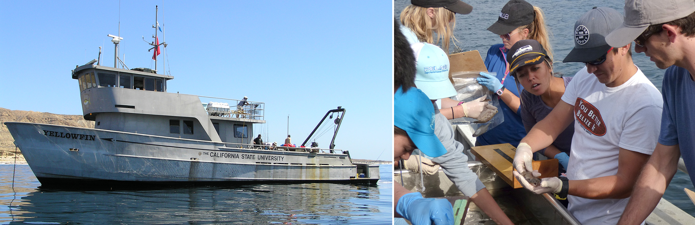yellowfin_collage.jpg RV Yellowfin, frequently used for marine biology fieldtrips