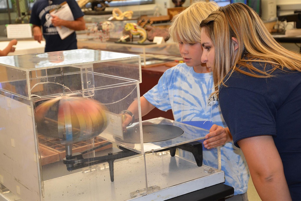 About the Program California State University Long Beach