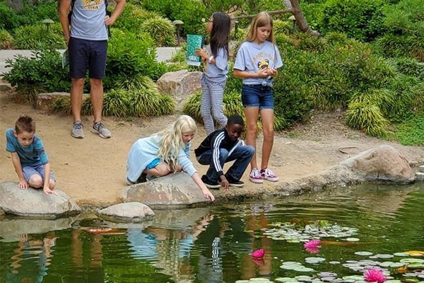 ysc_topic_ecosystem_explorers.jpg children observing plants and animals in a pond