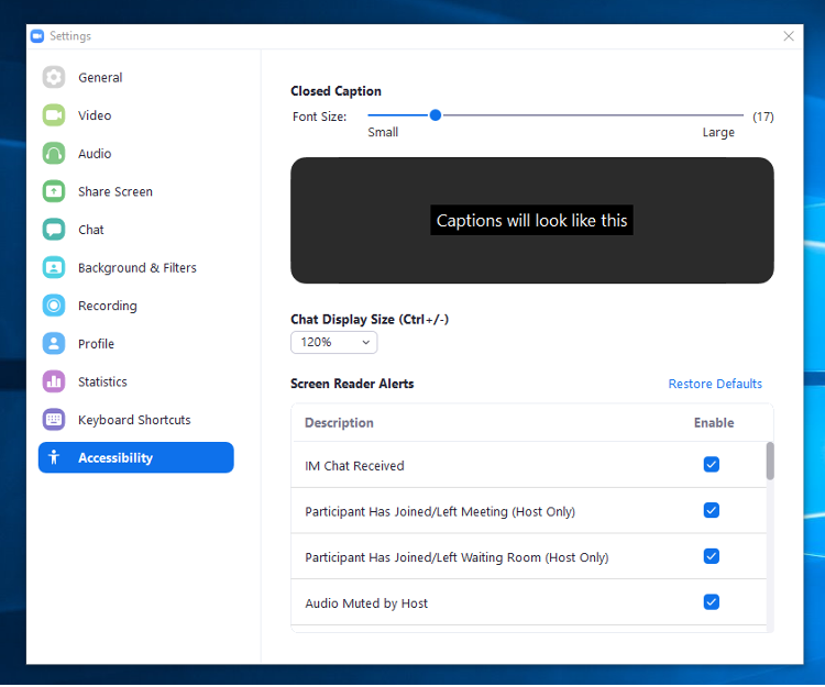 zoom accessibility setting