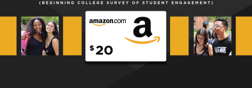 BCSSE Survey